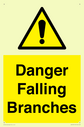 danger-falling-branches~